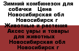 Зимний комбинезон для собачки › Цена ­ 350 - Новосибирская обл., Новосибирск г. Животные и растения » Аксесcуары и товары для животных   . Новосибирская обл.,Новосибирск г.